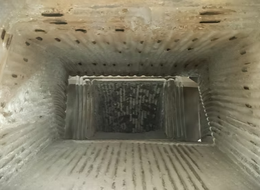 Photo at an on site field inspection.